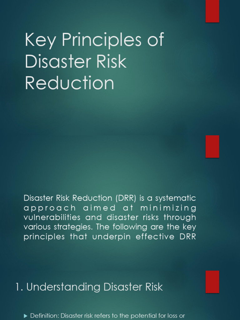 Key Principles of Disaster Risk Reduction | PDF | Risk | Risk Management