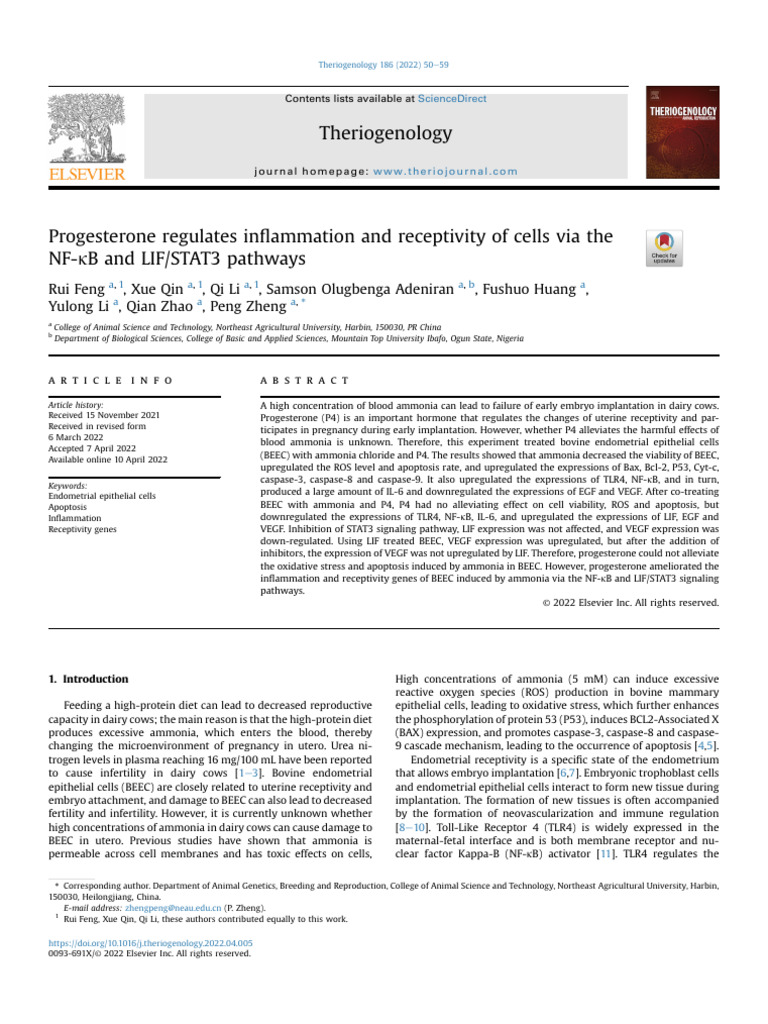 Progesterone's Role in BEEC Inflammation | PDF | Biochemistry | Chemistry