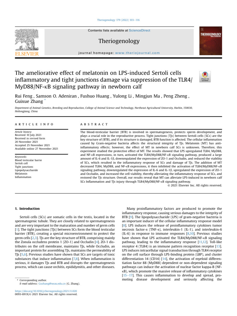 The Ameliorative Effect of Melatonin On LPS Induced Sertoli Cells ...
