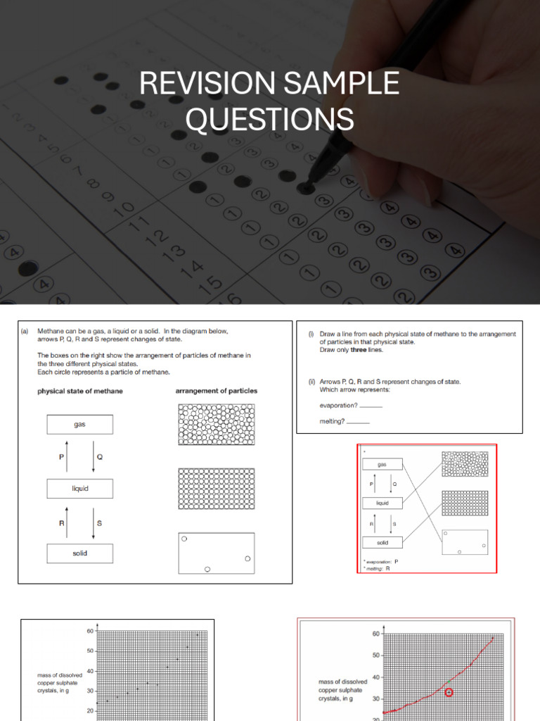 T1 Revision Sample Questions Year 7 | PDF