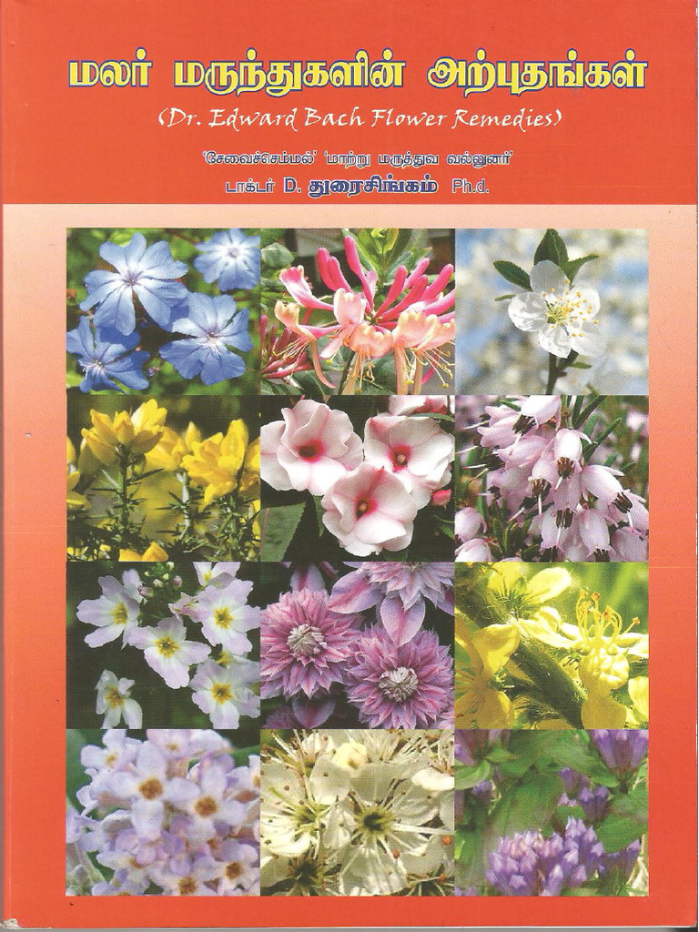 Flower Book | PDF