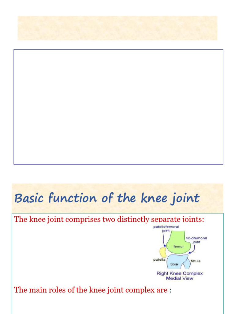 Prothesis Knee | PDF