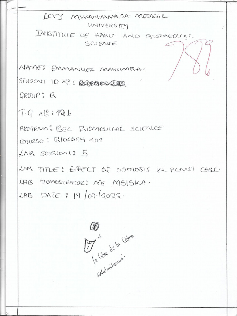 Bio 101 Lab 5 Effects of Osmosis | PDF