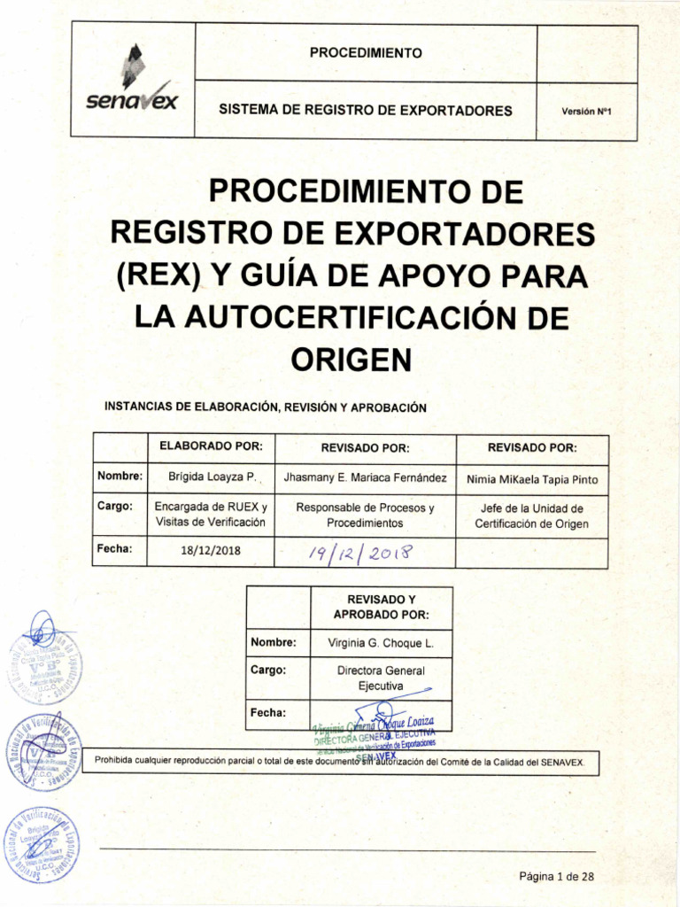 6 Procedimiento Sistema REX | PDF