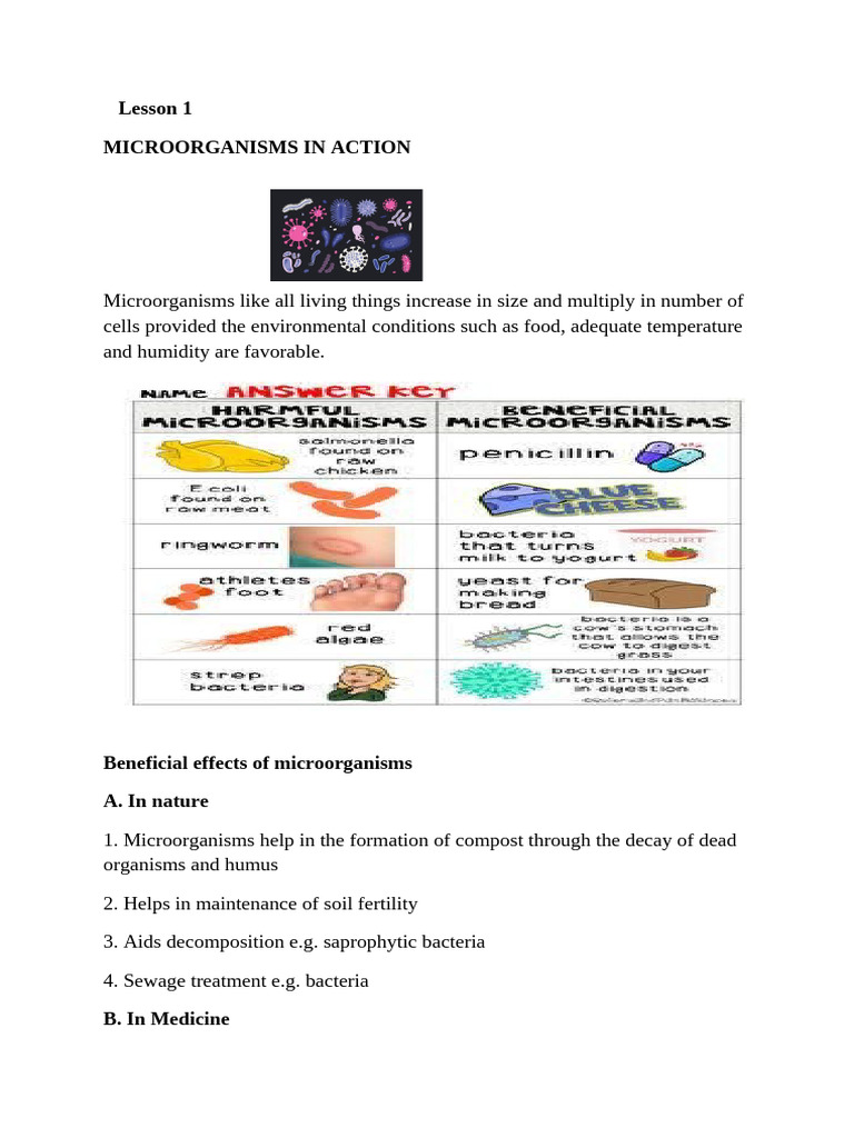 Classnotes Student 15665021053 Microorganismsinaction | PDF ...