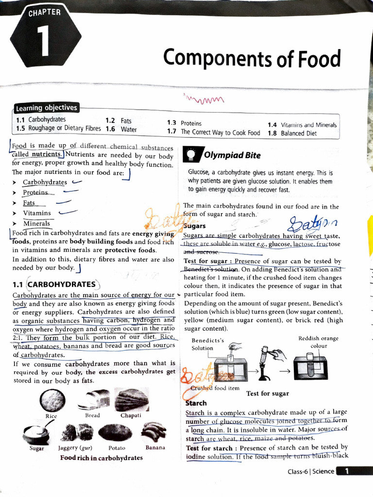 Essential Nutrients in Food Explained | PDF | Foods | Fat