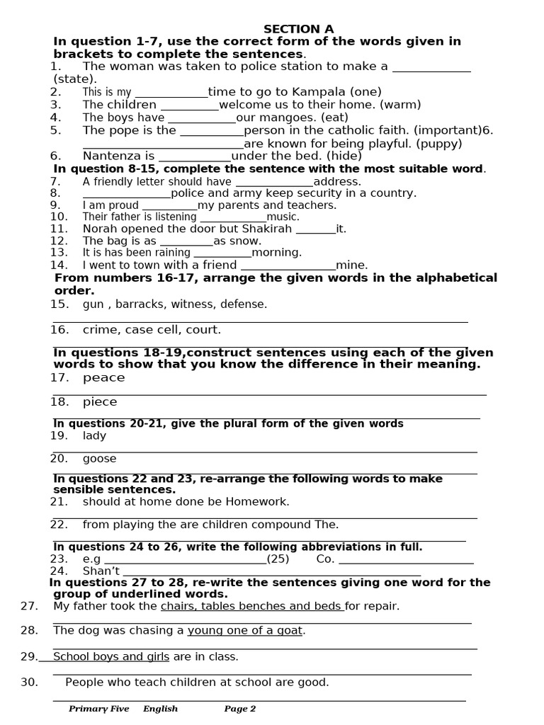 English Language Exercise for P5 | PDF