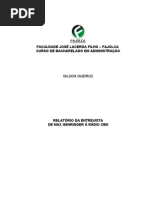 Relatório Entrevista Max Gehringer