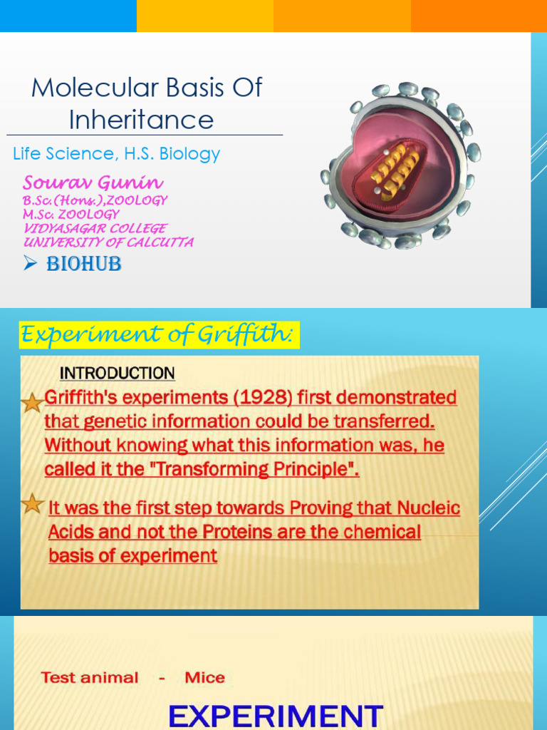 Molecular Inheritance Overview | PDF | Rna | Messenger Rna