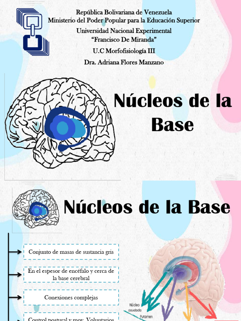 05 Nucleos de La Base | PDF | Ganglios basales | Neurociencia
