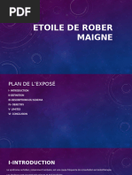 Protocole Stanish pour Tendon d'Achille | PDF