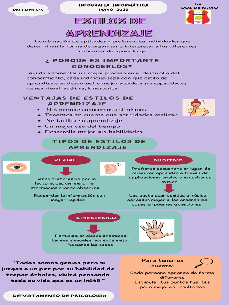 Infografía sobre Estilos de Aprendizaje | PDF | Aprendizaje | Neurociencia