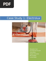 Written Report - Electrolux