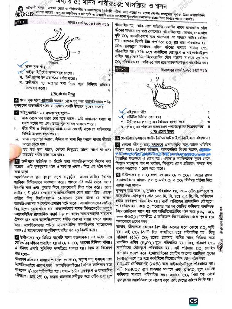 Bio Soson | PDF
