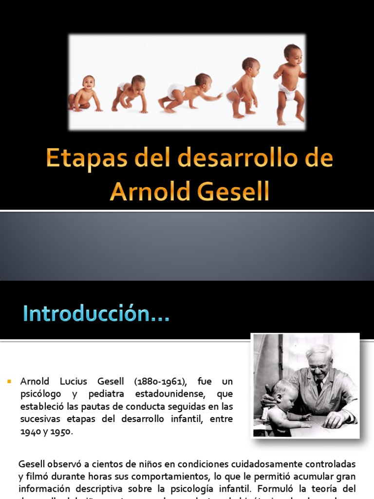 Etapas Del Desarrollo De Arnold Gesell1 Comportamiento Adultos