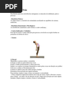 Download Resumo Yga by Rose Menezes SN88485686 doc pdf