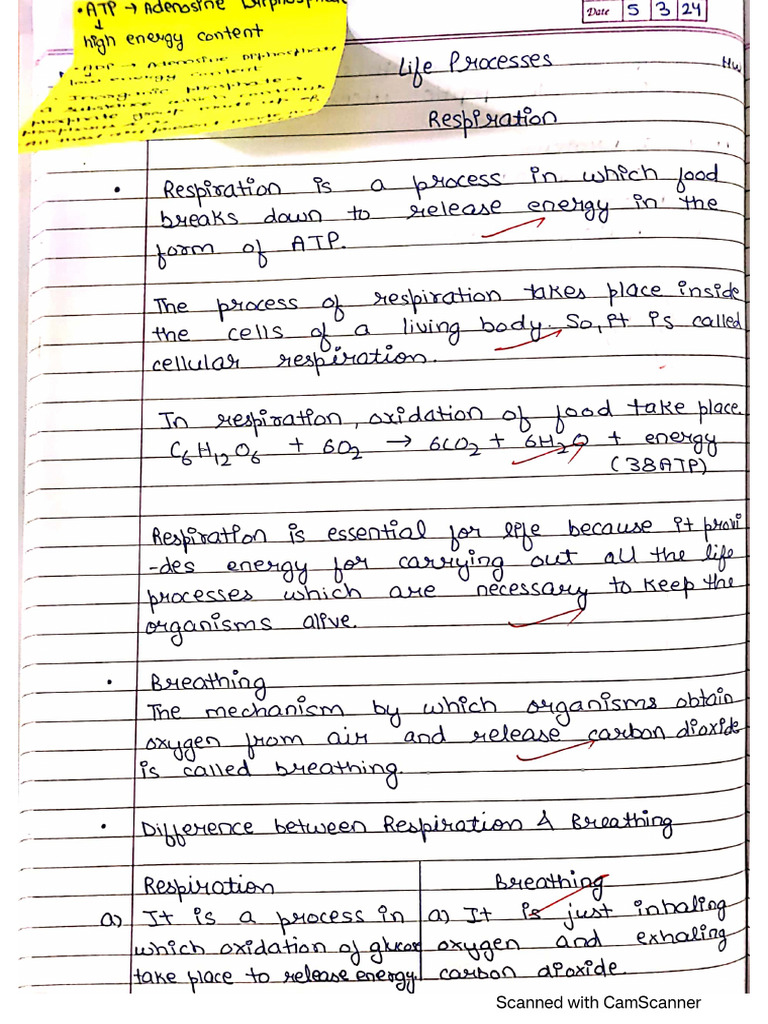 G10 Ch. Life Processes | PDF