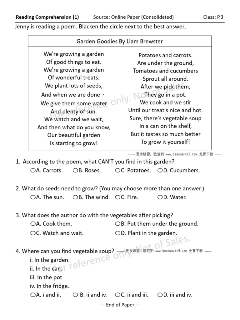 Elementary Reading Comprehension Guide | PDF