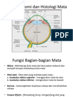 OPTIMALISASI PENDEKATAN  UNTUK MATA