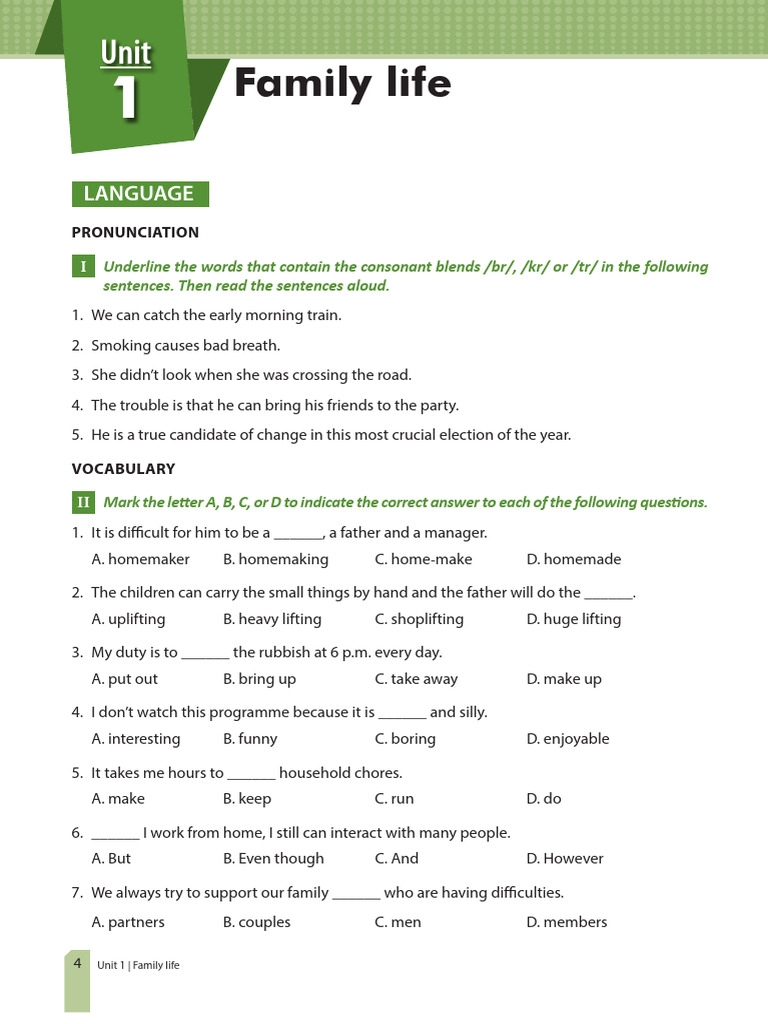 Family Life: Language and Skills Exercises | PDF