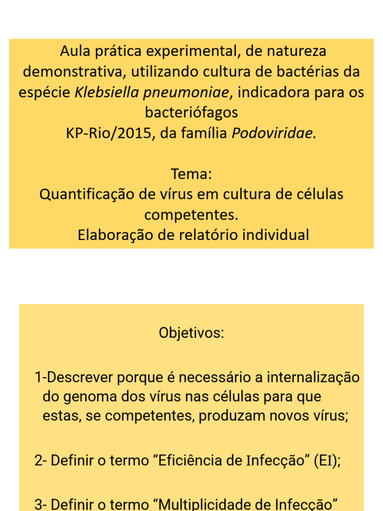 Enfermagem - Quantificação de Bacteriófagos 270525 | PDF | Vírus ...