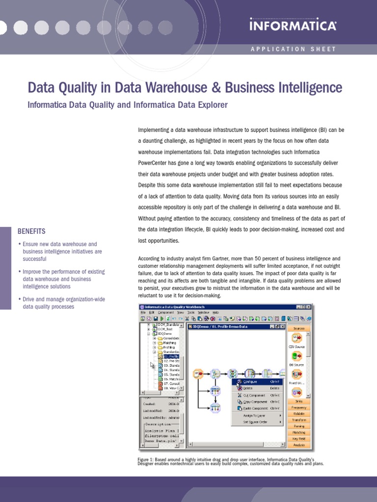 Ds Data Quality Business Intelligence | PDF | Business