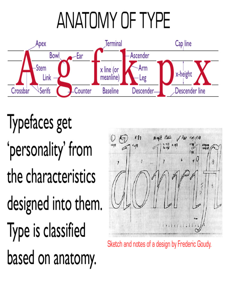 Anatomy of Typography Essentials | PDF | Serif | Sans Serif