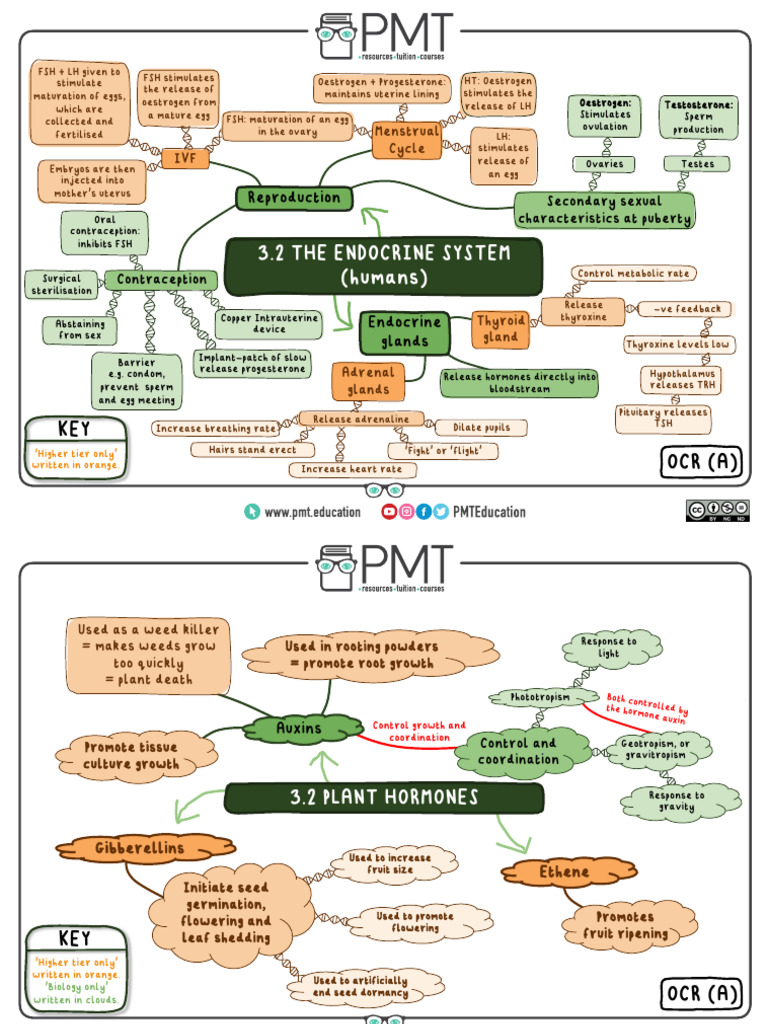 Human Hormones and Functions Chart | PDF | Luteinizing Hormone ...
