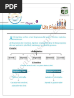 Life Processes Handwritten Notes | PDF