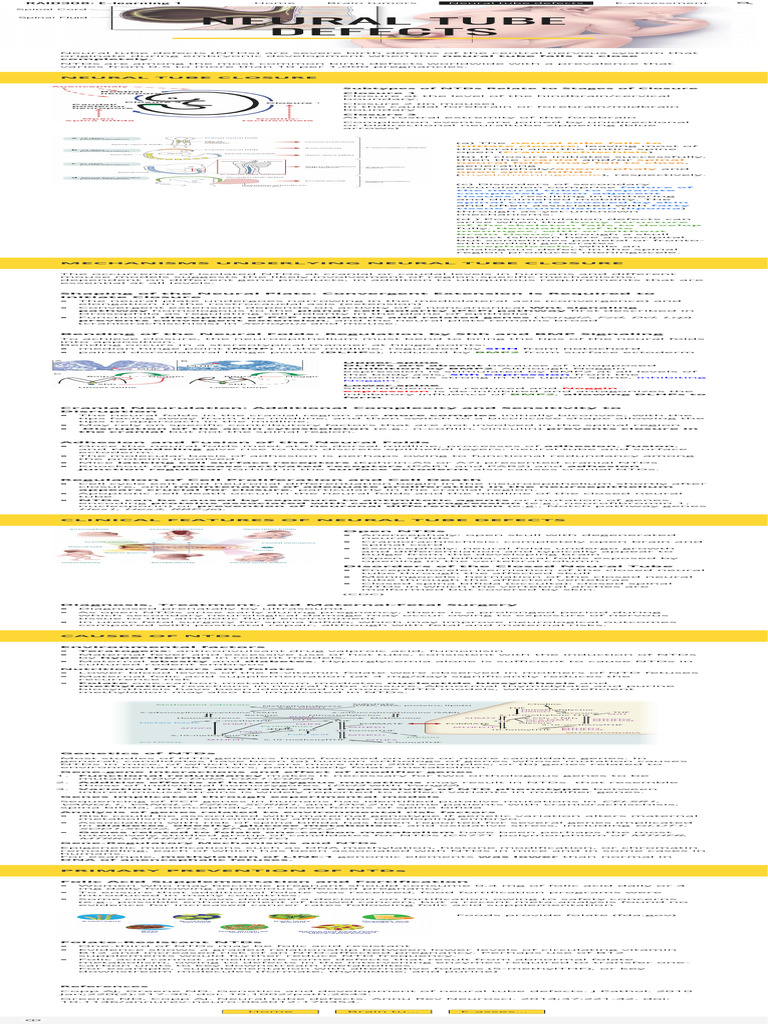 RAID308 E-Learning 1 - Neural Tube Defects | PDF | Nervous System | Biology