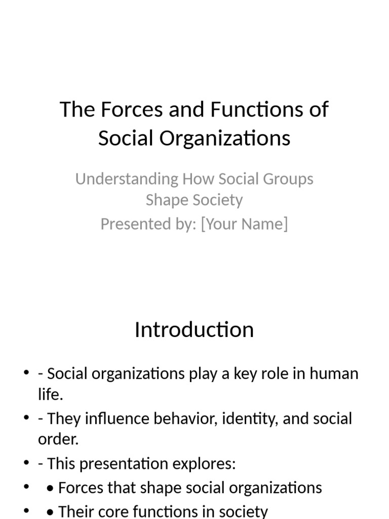 The Forces and Functions of Social Organizations | PDF