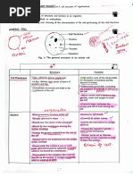 GCSE Cell Structure Revision Guide | PDF | Cell (Biology) | Prokaryote