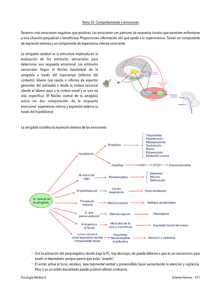 Emociones y Comportamiento Humano | PDF | Las emociones | Dopamina