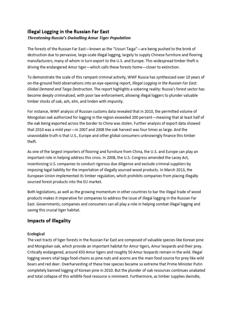RFE Illegal Logging Report | PDF | Forest Stewardship Council | Natural ...