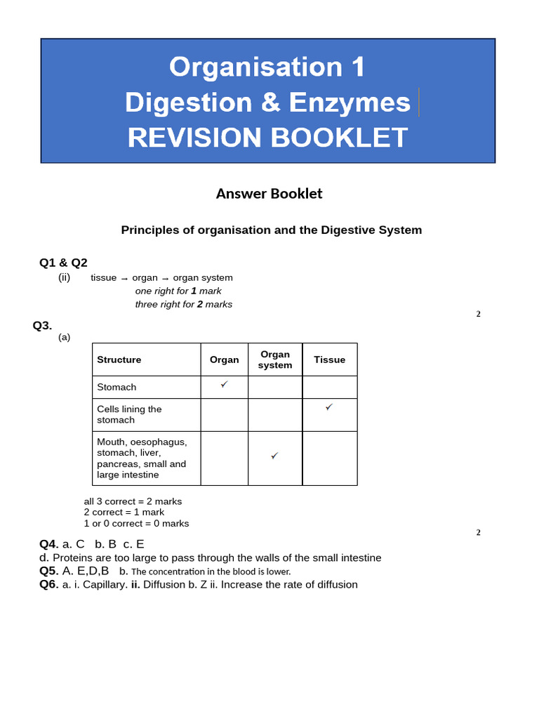 Organisation Revision Booklet Answers | PDF | Digestion | Stomach