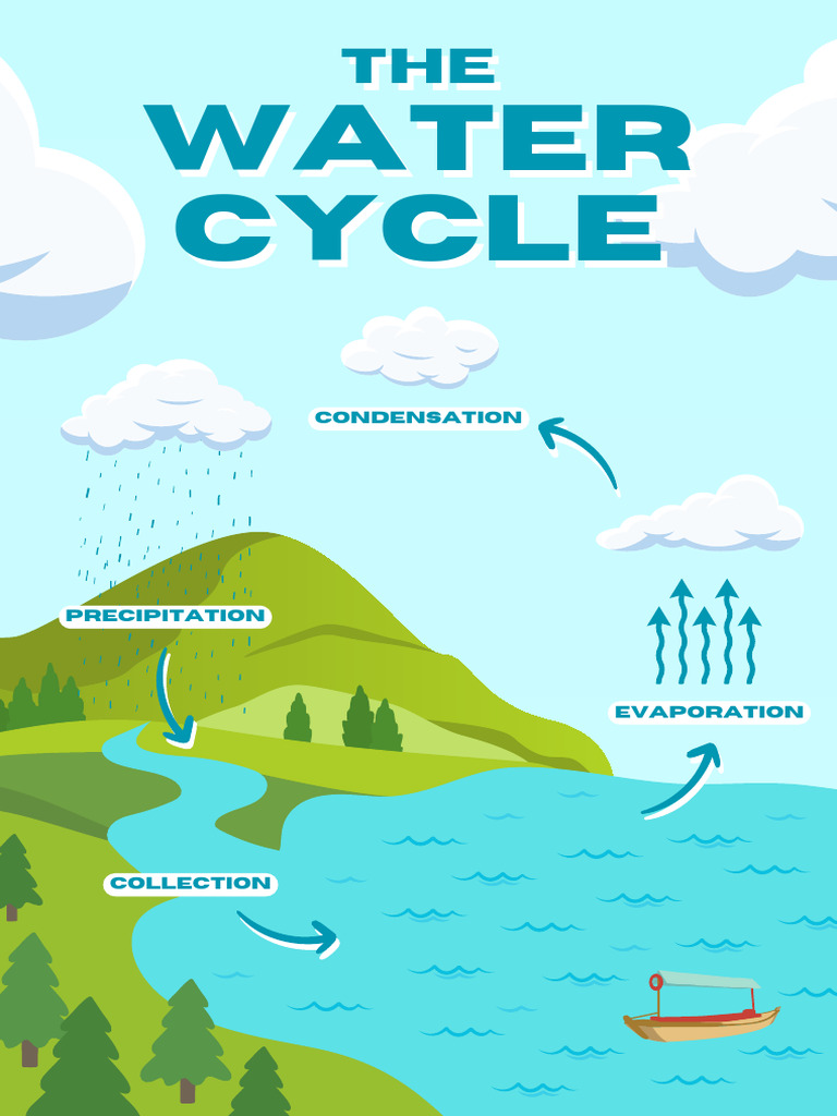 The Water Cycle Educational Poster in Blue Green Illustrative Style | PDF