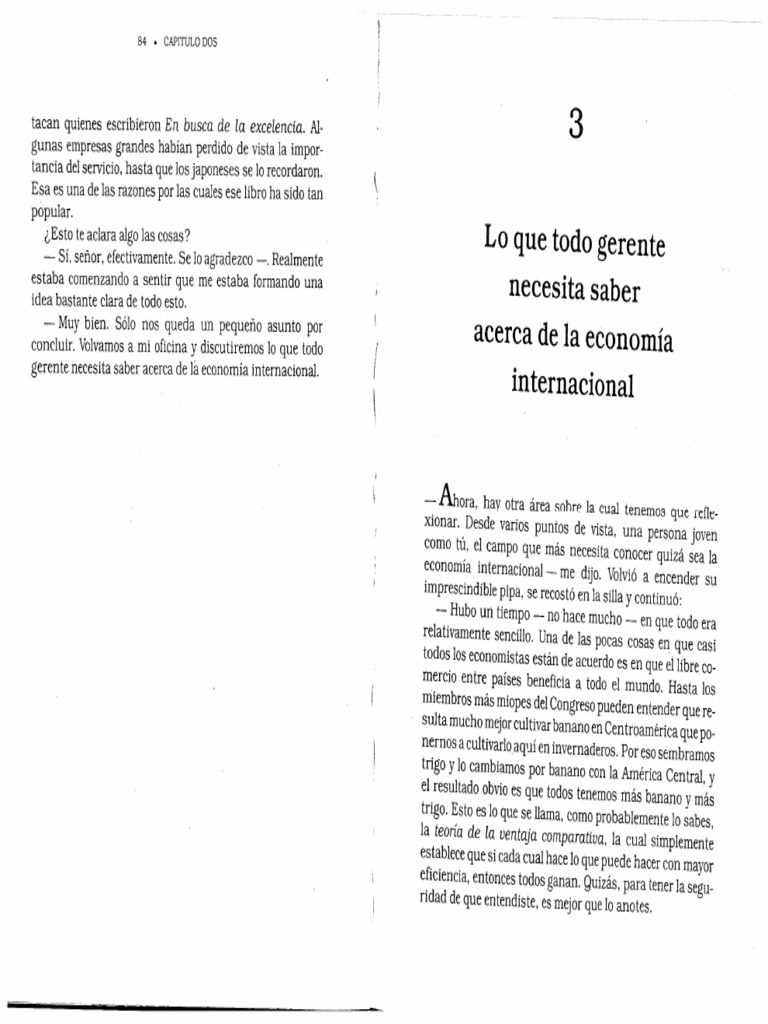 Capitulo 3 | PDF