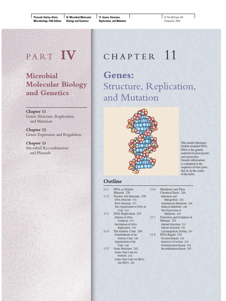 Fred Griffith's 1920s Bacterial Research | PDF | Dna | Nucleotides