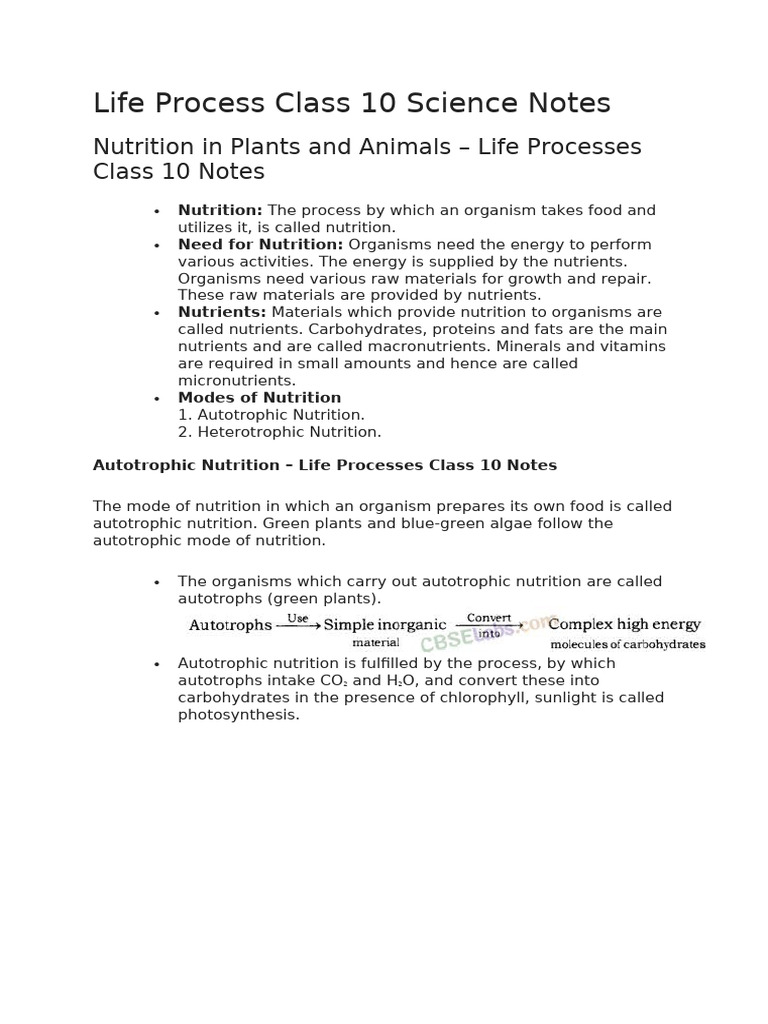 Class 10 Life Processes Notes | PDF | Cellular Respiration ...