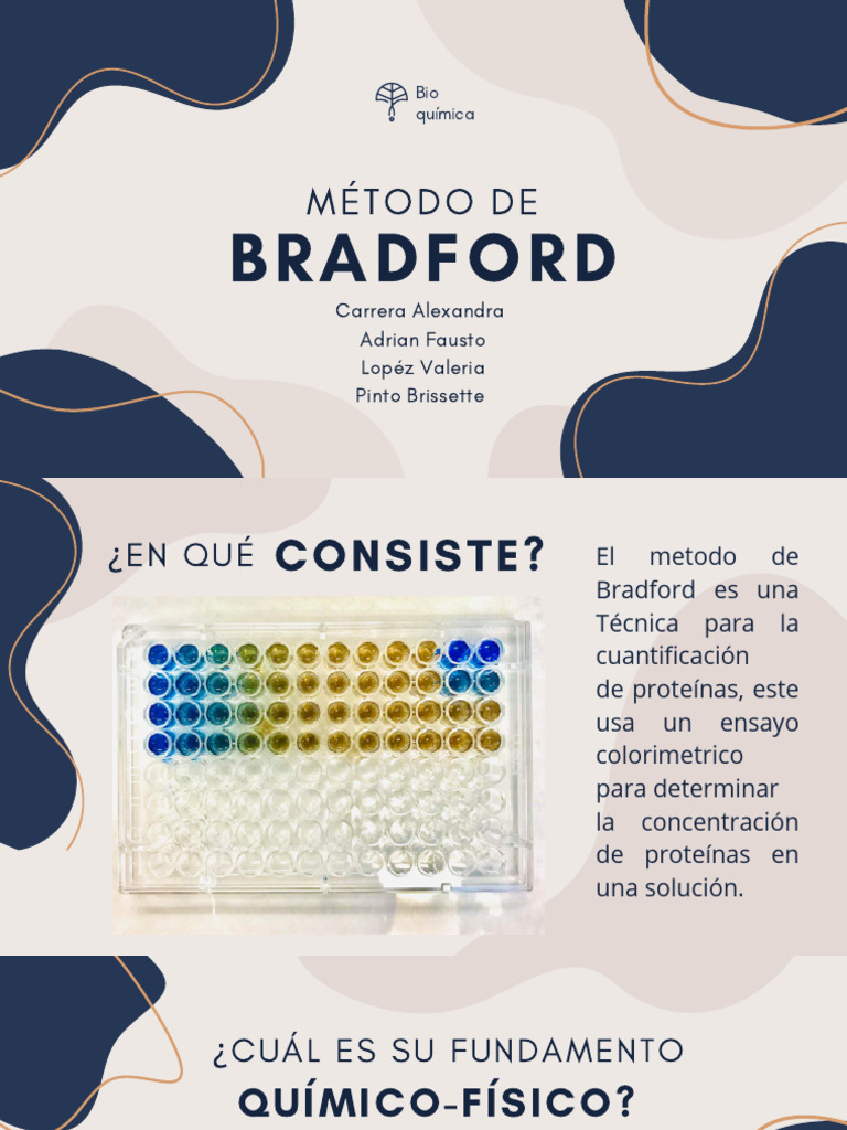 Método de Bradford para Cuantificación de Proteínas PDF Proteínas — free download