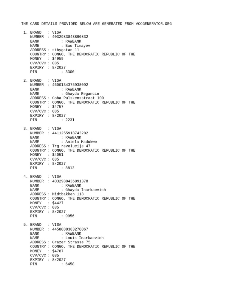 Generated Visa Card Details Overview | PDF