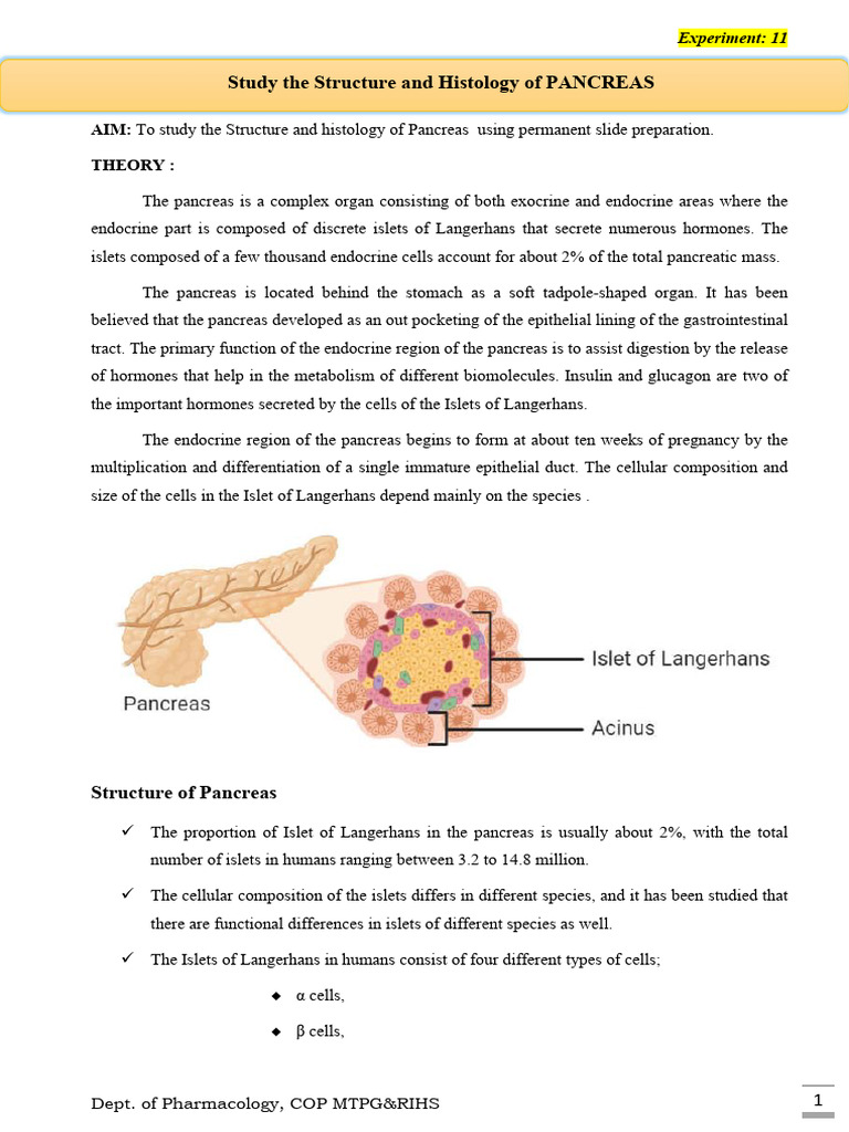 Histology of Islets of Langerhans | PDF | Pancreas | Endocrine System