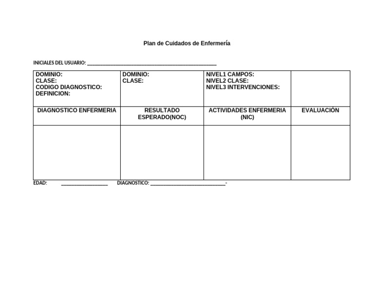 FORMATO Plan de Cuidados de EnfermerÃ - A | PDF