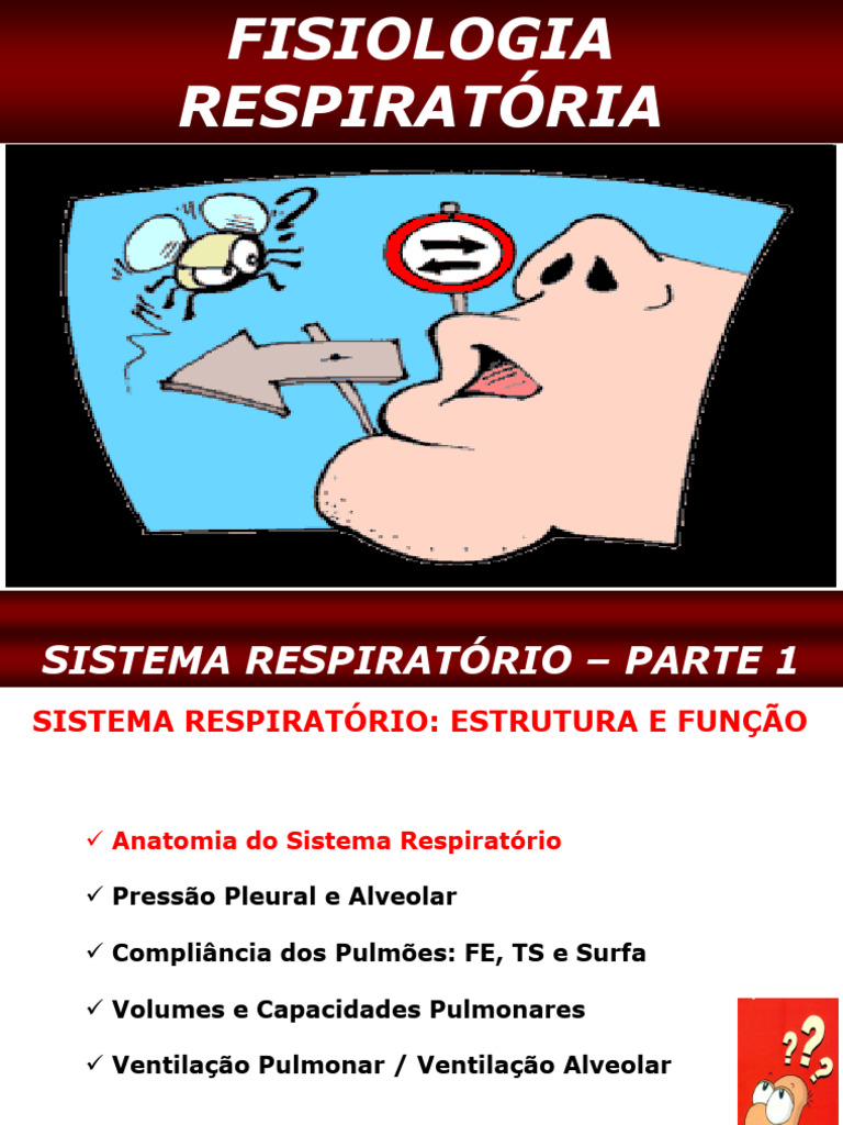 Aula 6 Respiratório Essa | PDF | Respiração | Sistema respiratório