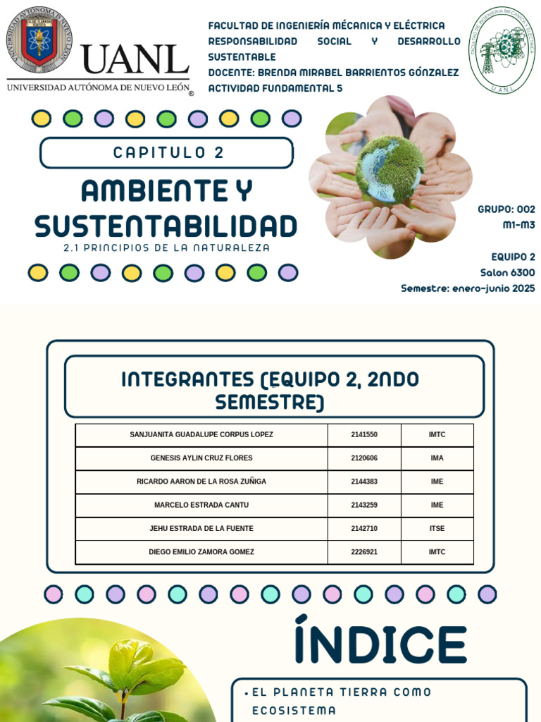 Principios de Sustentabilidad en la Tierra | PDF | Entorno natural ...