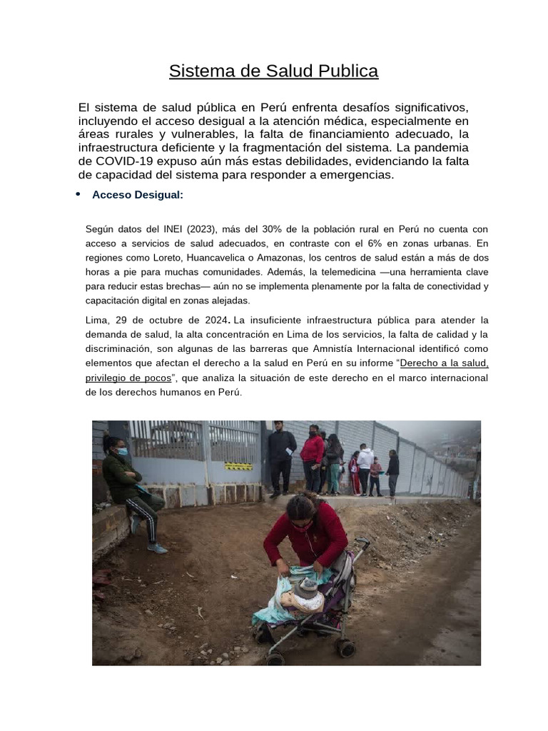 Desafíos del Sistema de Salud en Perú | PDF | Perú | Hospital