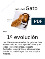 Evolución Del Gato