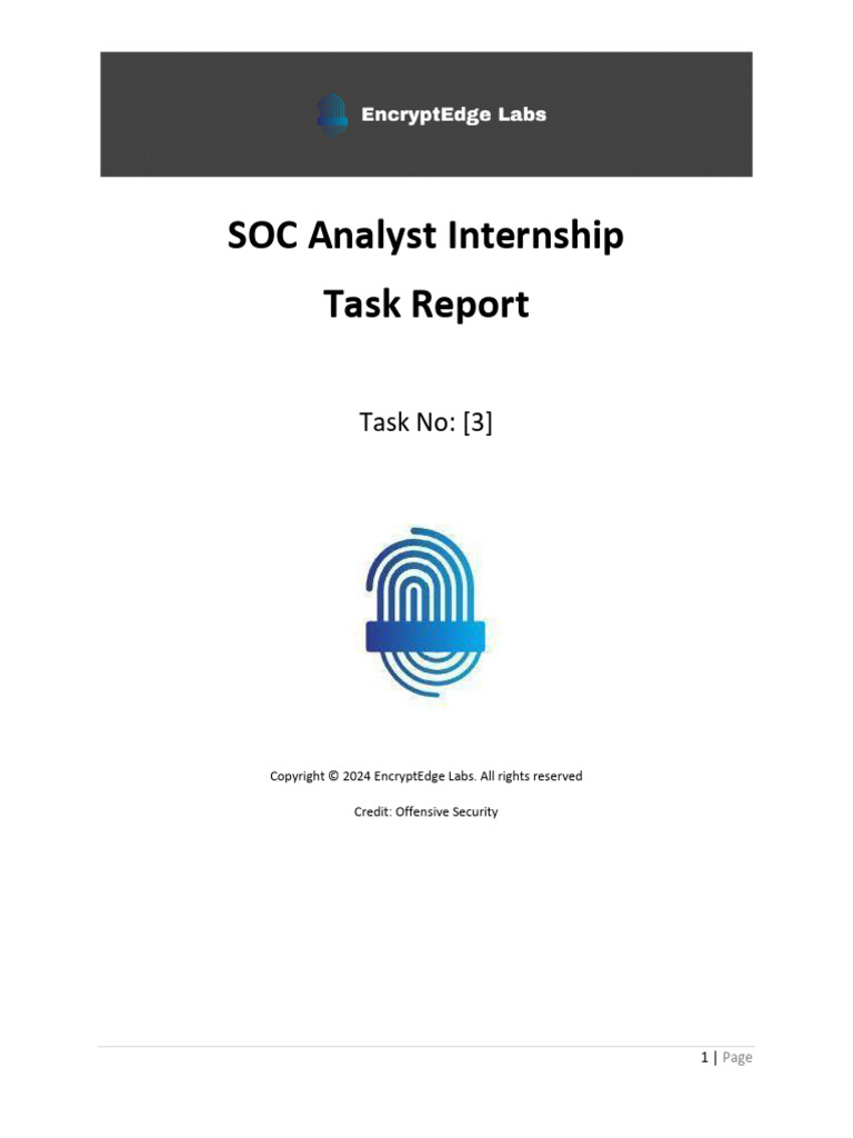 Networking Report Submitted To Encryptedge Labs 1712188337 | PDF ...