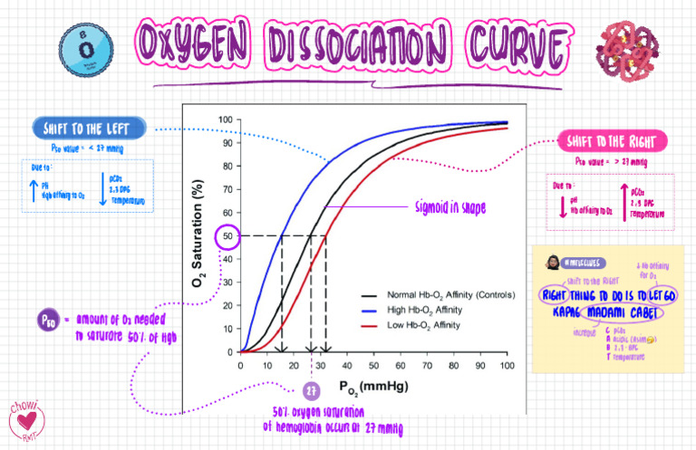 Hema - O2 Dissociation Curve | PDF | Respiration | Physiology