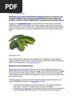 Download MANFAAT SIRSAK by S Ibos La Sudhali SN88517933 doc pdf